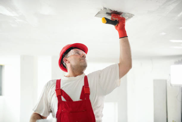 Best Drywall Texturing  in Ilco, WA